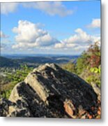 Buzzards Roost Metal Print