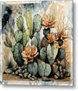 Cactus Flowers Blended Metal Print