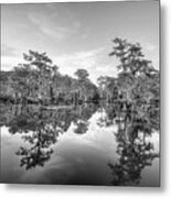 Caddo Lake Calm Black And White Metal Print