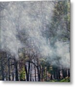 Cades Cove Burn 1620 Metal Print