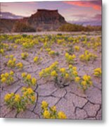 Caineville Sunset Flowers Metal Print