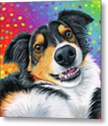 Caliber The Tricolor Australian Shepherd Dog Metal Print