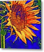 Can You See The Bumble Bee Metal Print