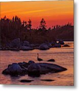 Canada Geese At Sunset Metal Print