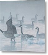 Canada Geese In The Mist 2742-010620-2 Metal Print