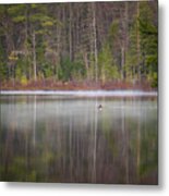 Canada Goose On A Misty Swift River Morning Metal Print