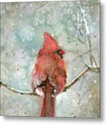 Cardinal In Winter Metal Print