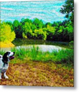 Carl's Pond Metal Print