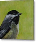 Carolina Chickadee Metal Print