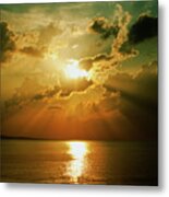 Carpe Diem Metal Print