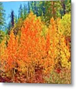 Carson River Fall Colors Metal Print