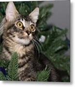Cat In A Christmas Tree Metal Print