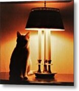 Cat Lamp Metal Print