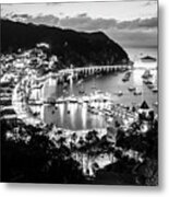 Catalina Island At Night Black And White Photo Metal Print