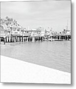 Catalina Island Beach Black And White Panorama Photo Metal Print