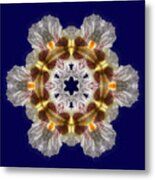 Catalpa Blossom Snowflake -  Kaleidoscope View Of Catalpa Blosssom Closup Metal Print