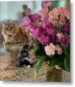 Cats And Flowers For Mothers Day Metal Print