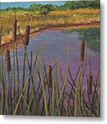 Cattails Metal Print