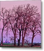 Cendak Framed -  Sunrise At The Benson County Nd Grain Elevator Viewed Through Cottonwood Grove Metal Print