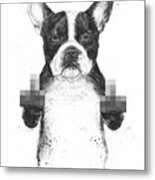 Censored Dog Metal Print