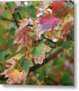 Change Of The Season Metal Print