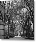 Charleston Waterfront Park Walkway, S.c, Black And White. Metal Print