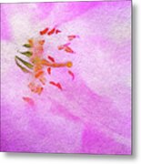 Cherry Blossom Festival Metal Print