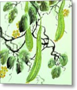 Chinese Cucumber - No Cally Metal Print