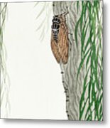 Cicada On Tree Metal Print