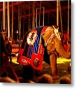 Circus Tent Dreams 5 Metal Print