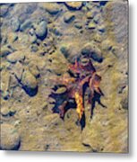 Clean Water - Delaware River - Underwater Photography Metal Print