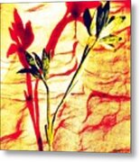 Clementine Sprig Contemporary Metal Print