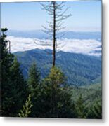 Clingmans Dome 22 Metal Print