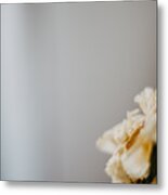 Close-up Of A Dried Flower On Grey Background Metal Print