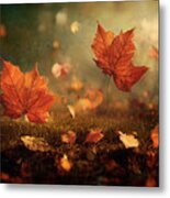 Closeup Of Falling Autumn Leaves In Park. Fall Landscape Scene W Metal Print