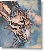 Clouded Leopard Portrait Metal Print