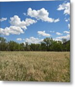 Clouds Over The Meadow Metal Print