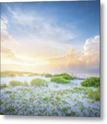 Coastal Florida Sunrise Gulf Islands National Seashore Metal Print