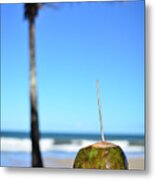 Coconut At The Beach In Bahia Metal Print