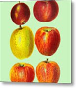 Collection Of Apples Metal Print