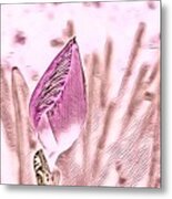 Color Trend Flower Bud Metal Print