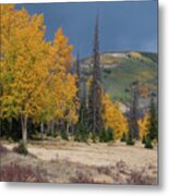Colorado Autumn Rain Shower Landscape Metal Print
