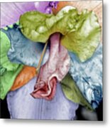 Colored Lily 2 Metal Print