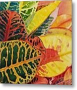 Colorful  Crotons Metal Print