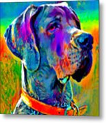 Colorful Great Dane Portrait - Digital Painting Metal Print