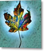 Colorful Leaf Metal Print
