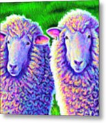 Colorful Sheep Portrait - Charlie And Curtis Metal Print