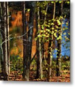 Colors Of Autumn Metal Print