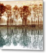 Colors Of Reflections Metal Print