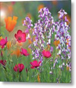 Colors Of Spring Metal Print